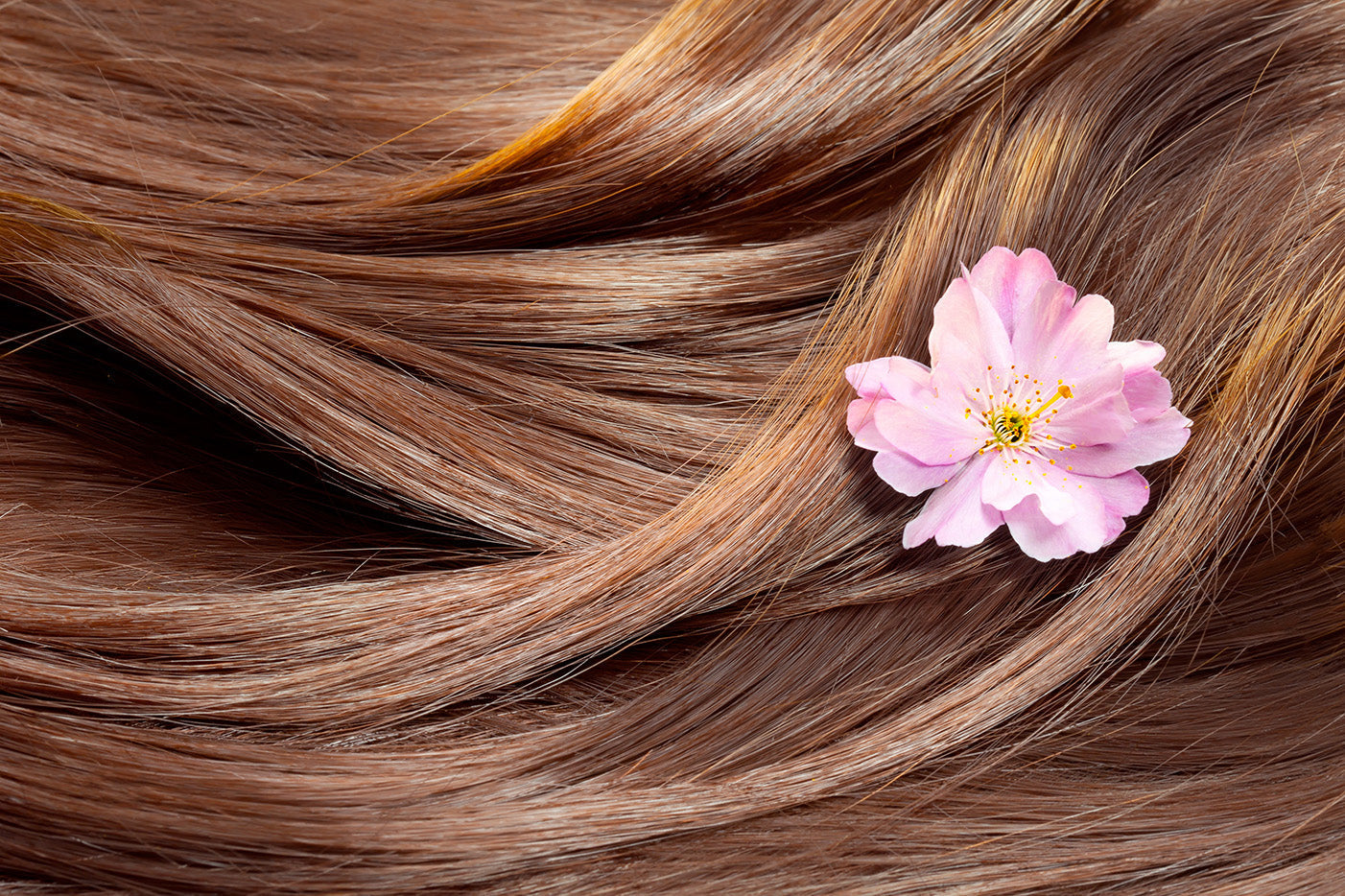 Leave In Conditioner: The Secret to Softer, Healthier, More Manageable Hair