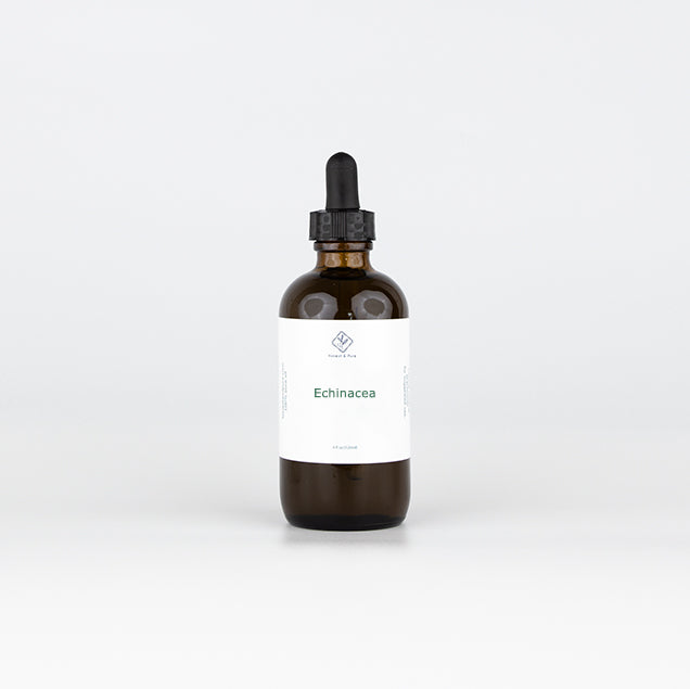 Echinacea