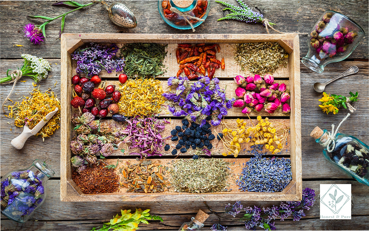 Wellness Consultation