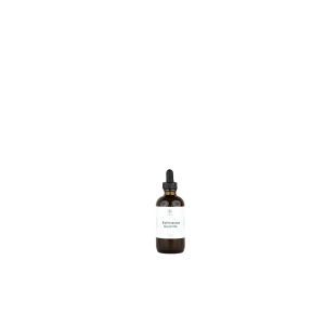 Honest & Pure Echinacea Glycerite